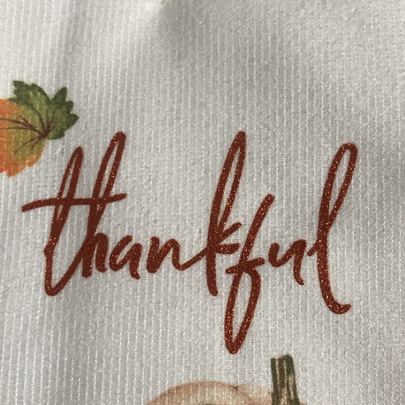 NWT-Set of 3- Cream, Blue & Orange Fall Pumpkins & Thankful Kitchen Towels 25x15 - Picture 8 of 17
